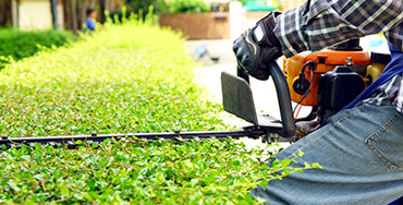 GARDEN MAINTENANCE