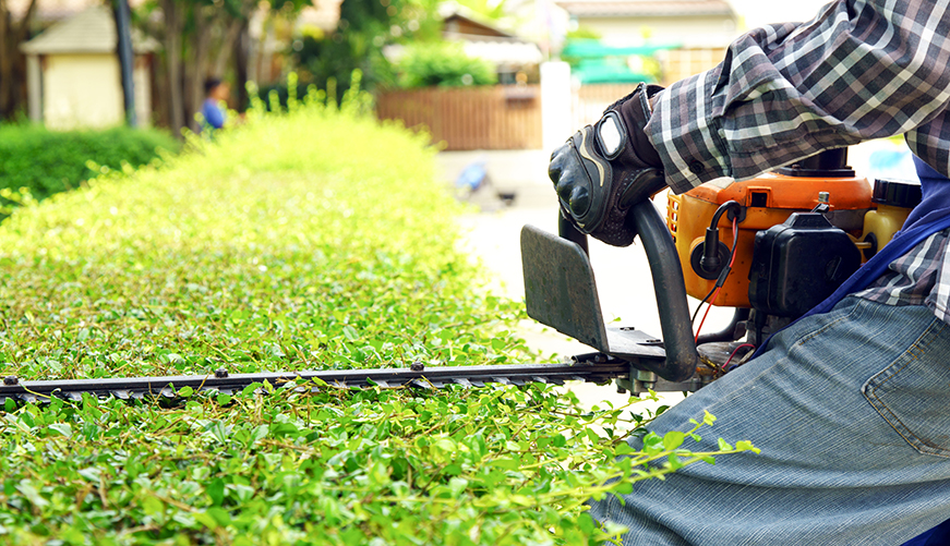 Garden Maintenance