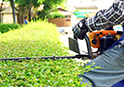 Garden Maintenance